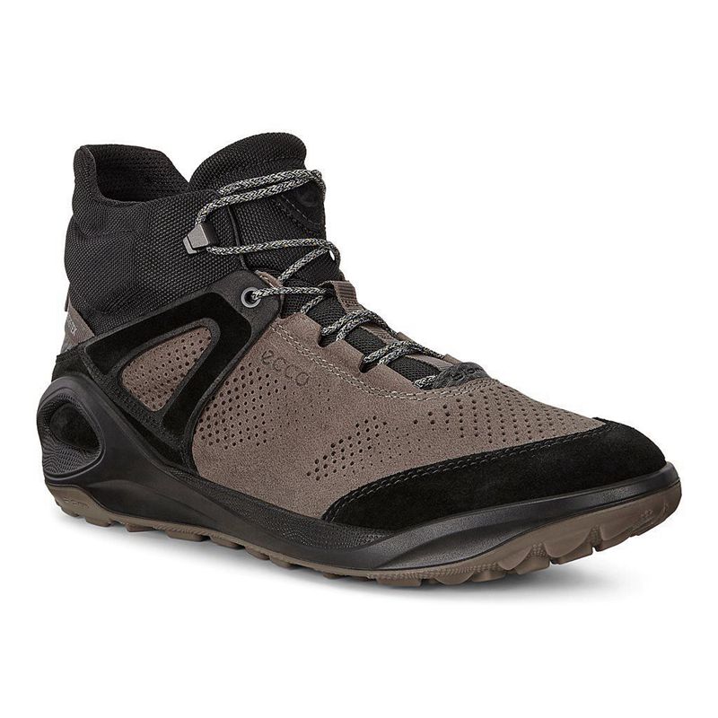 Men Ecco Biom 2Go - Gore-Tex Multicolour - India ICALDU361